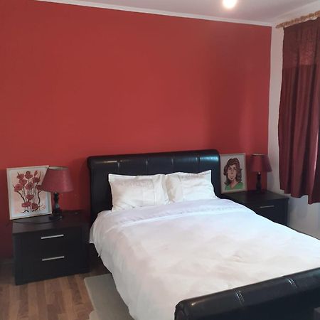 Apartament Cu 3 Camere La Poala Muntilor Fagaras 维多利亚 外观 照片