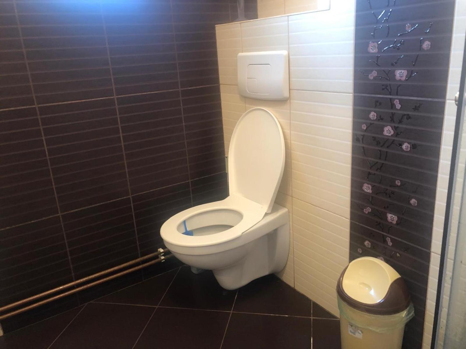 Apartament Cu 3 Camere La Poala Muntilor Fagaras 维多利亚 外观 照片