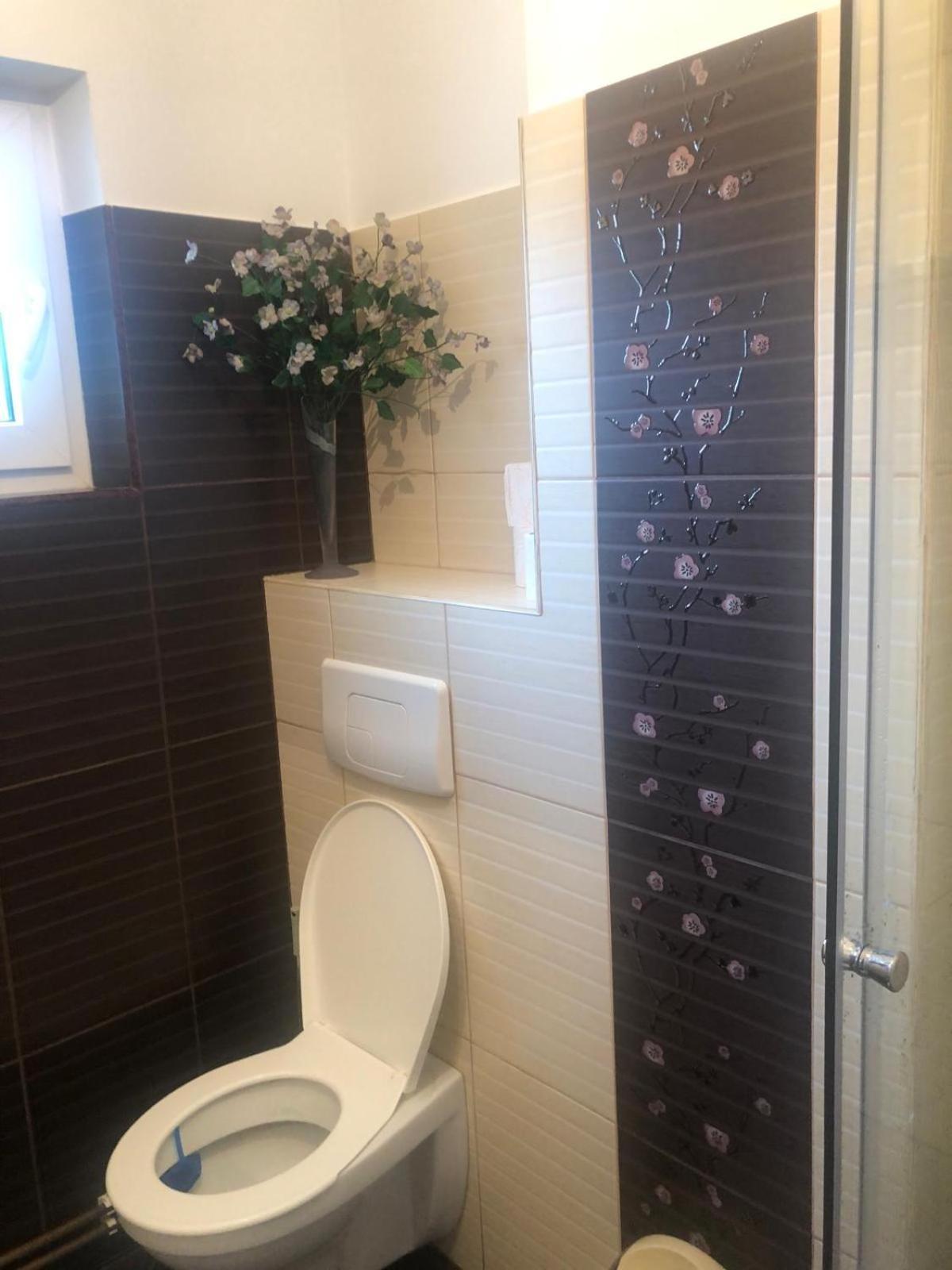 Apartament Cu 3 Camere La Poala Muntilor Fagaras 维多利亚 外观 照片