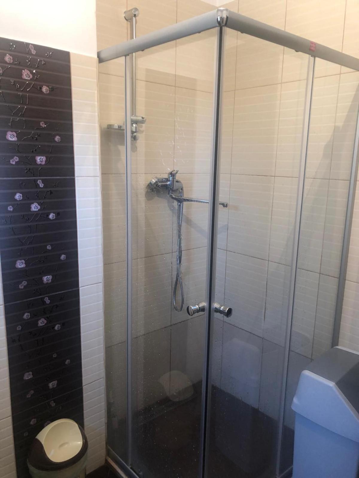 Apartament Cu 3 Camere La Poala Muntilor Fagaras 维多利亚 外观 照片