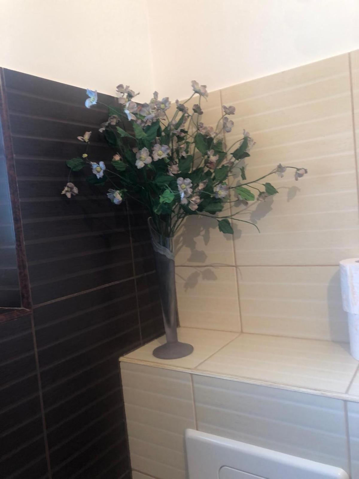 Apartament Cu 3 Camere La Poala Muntilor Fagaras 维多利亚 外观 照片